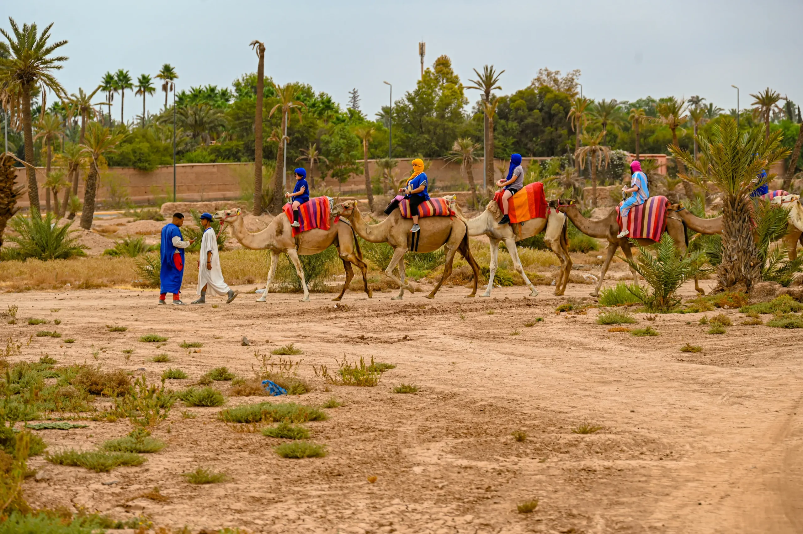 exotics-morocco